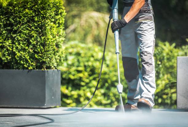 Best Pre-Holiday Cleaning  in Columbus, IN