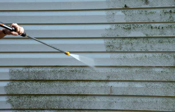Best Gutter Cleaning  in Columbus, IN